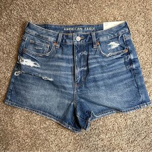 AE Strigid Denim Mom Short